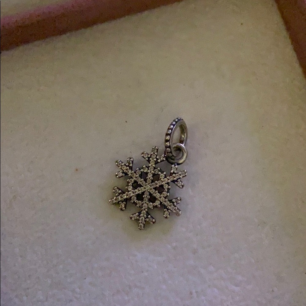 Pandora charm